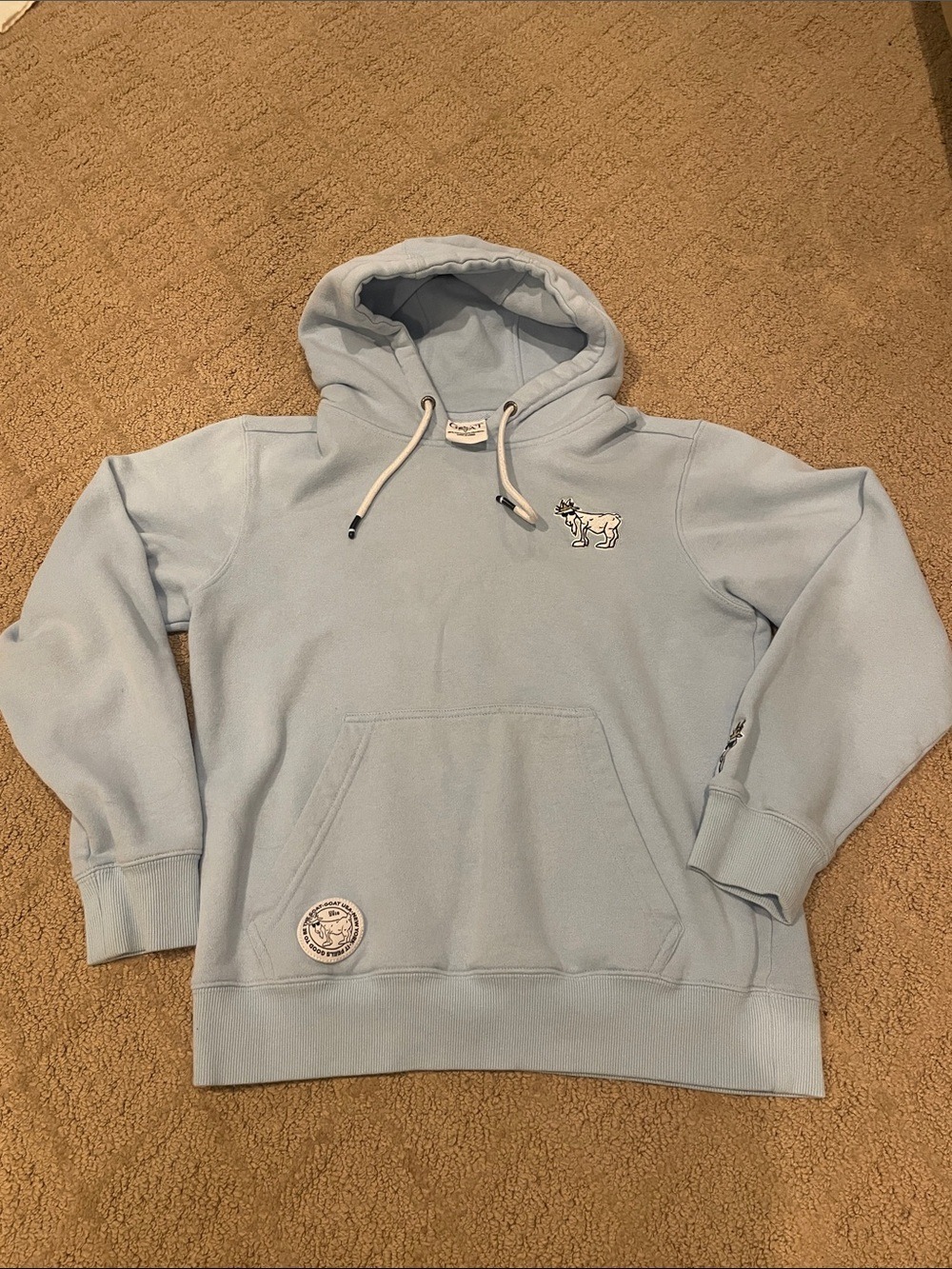 Men's Light Blue Pullover Hoodie with Embroidered Graphic